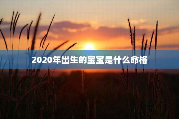 2020年出生的宝宝是什么命格