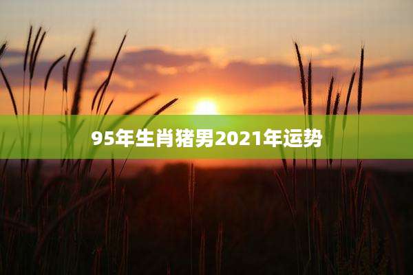 95年生肖猪男2021年运势