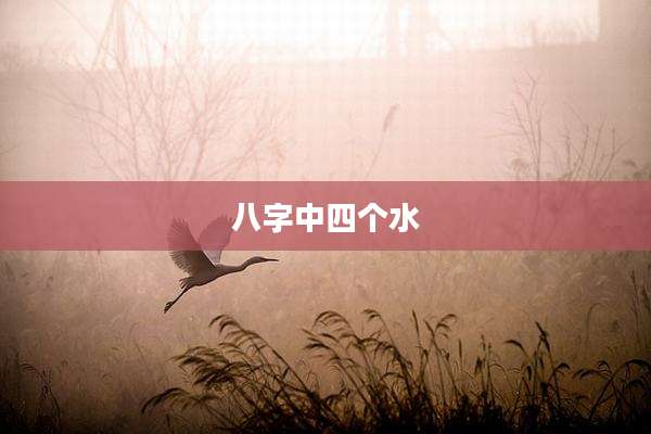八字中四个水