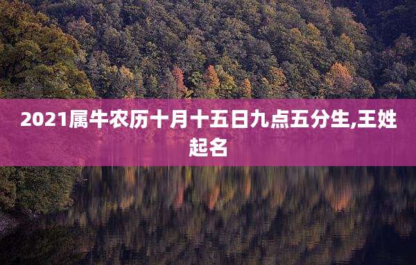 2021属牛农历十月十五日九点五分生,王姓起名