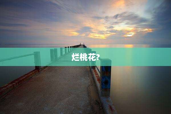 烂桃花?