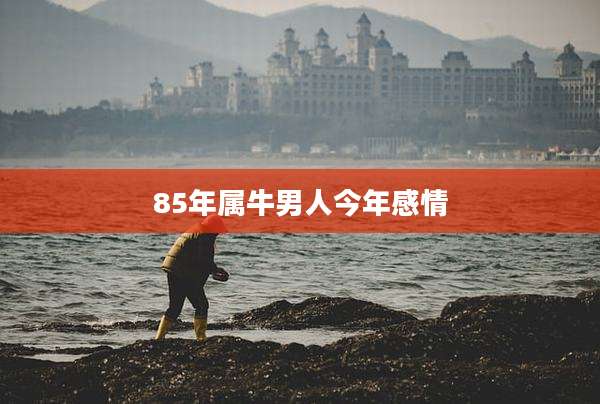 85年属牛男人今年感情