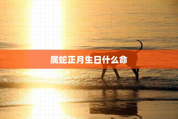 属蛇正月生日什么命