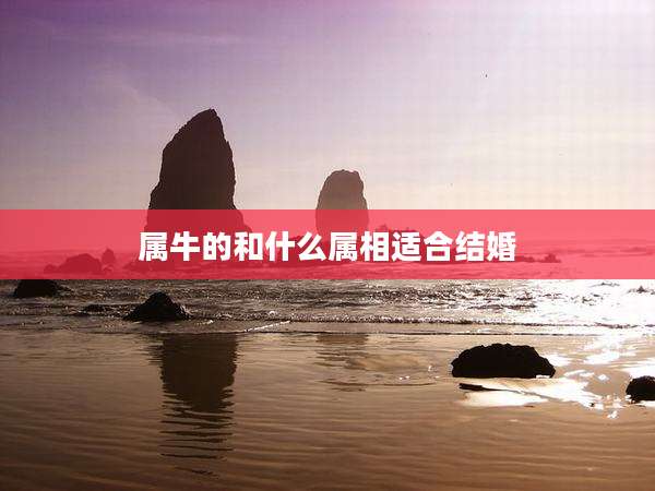 属牛的和什么属相适合结婚