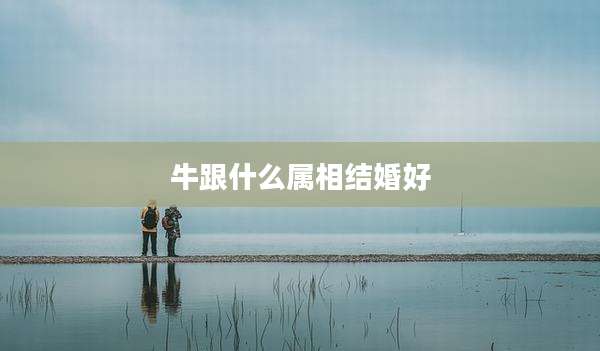 牛跟什么属相结婚好