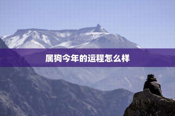 属狗今年的运程怎么样