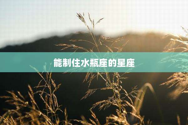 能制住水瓶座的星座