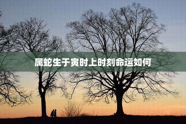 属蛇生于寅时上时刻命运如何