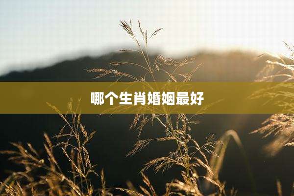 哪个生肖婚姻最好
