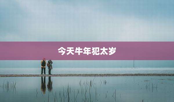 今天牛年犯太岁