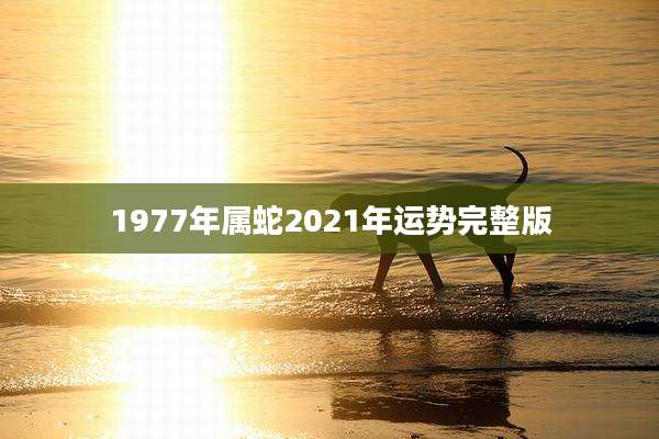 1977年属蛇2021年运势完整版
