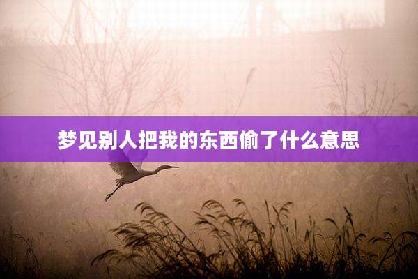 梦见别人把我的东西偷了什么意思