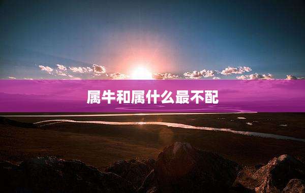 属牛和属什么最不配