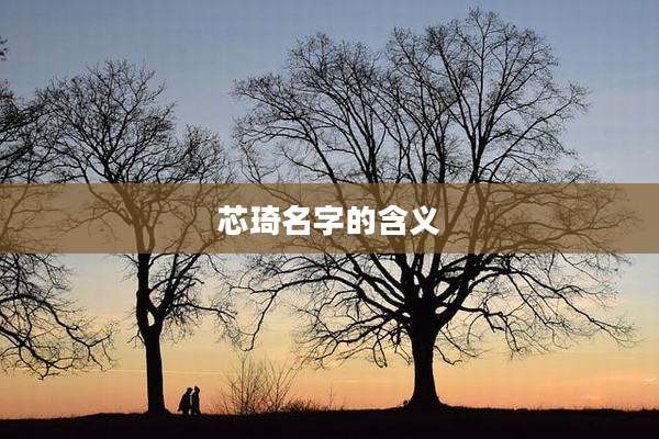 芯琦名字的含义