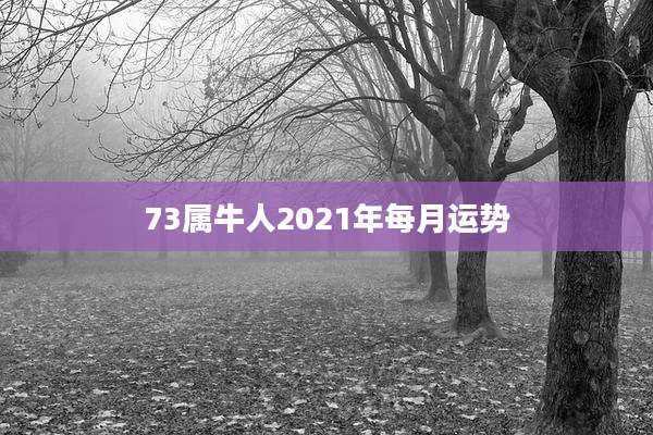 73属牛人2021年每月运势