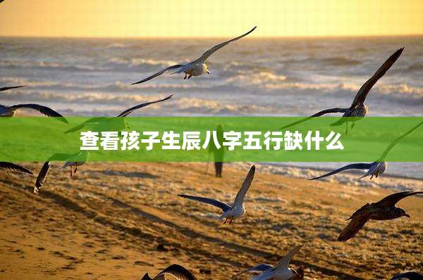 查看孩子生辰八字五行缺什么