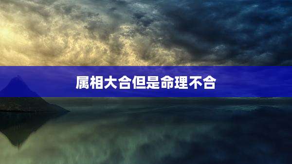 属相大合但是命理不合