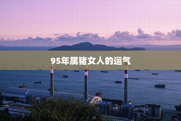 95年属猪女人的运气