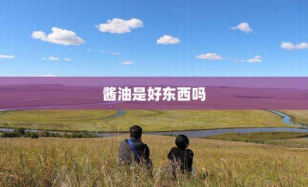 酱油是好东西吗