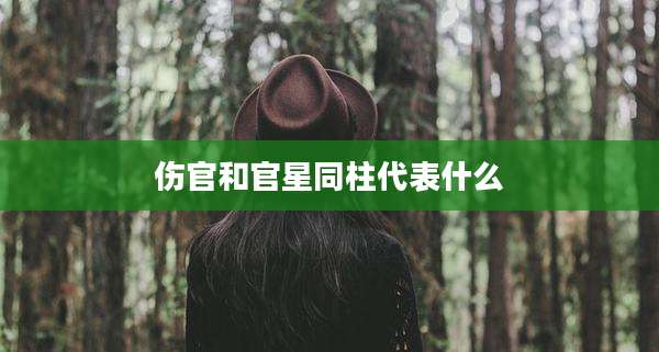 伤官和官星同柱代表什么