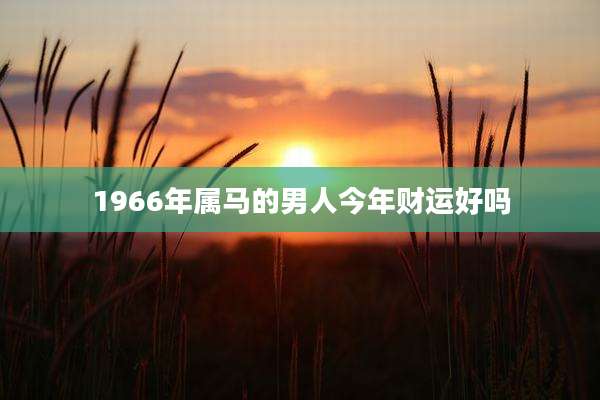 1966年属马的男人今年财运好吗