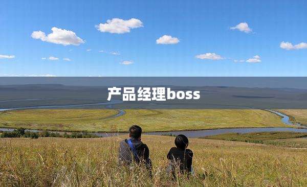 产品经理boss
