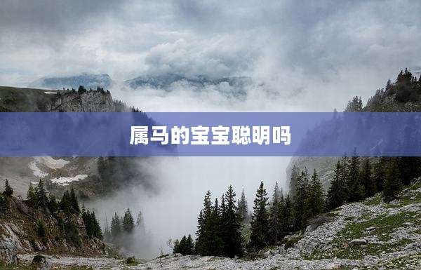 属马的宝宝聪明吗