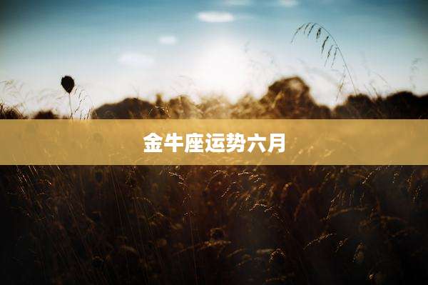 金牛座运势六月
