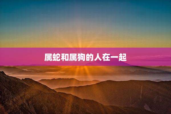 属蛇和属狗的人在一起