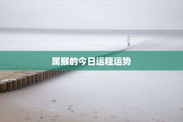 属猴的今日运程运势