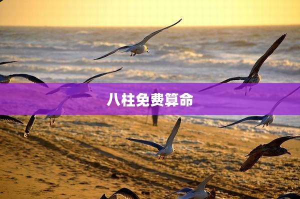 八柱免费算命