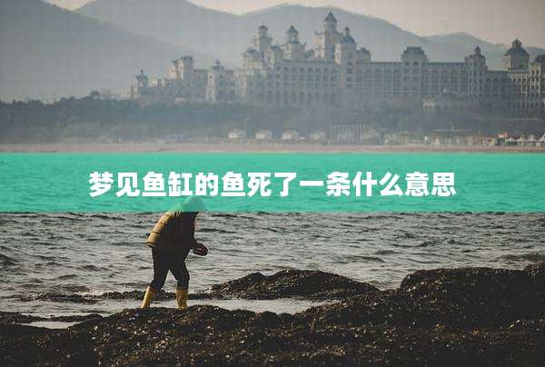梦见鱼缸的鱼死了一条什么意思