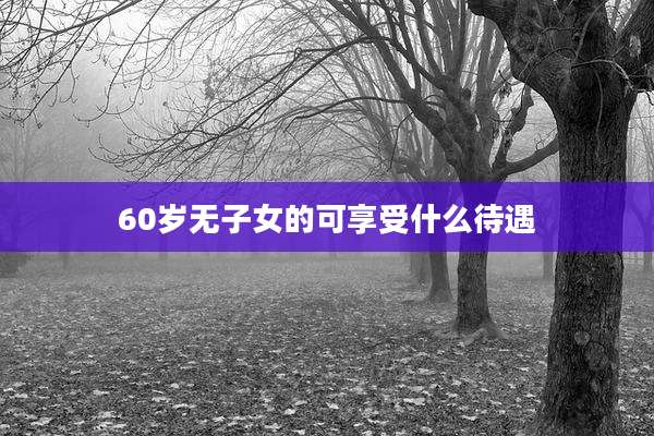 60岁无子女的可享受什么待遇