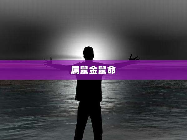属鼠金鼠命