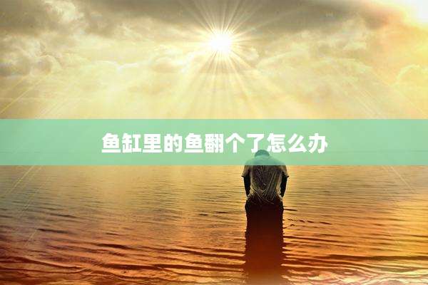 鱼缸里的鱼翻个了怎么办