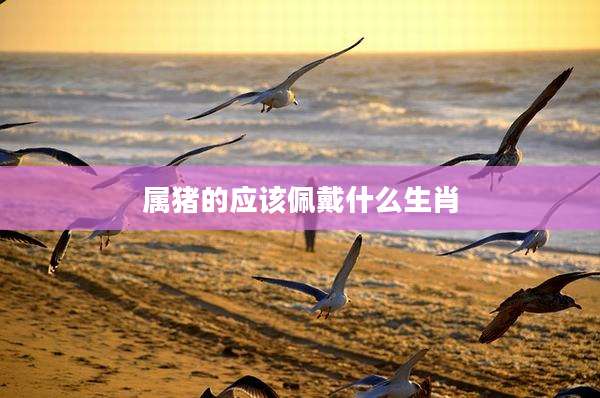 属猪的应该佩戴什么生肖