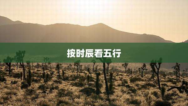 按时辰看五行