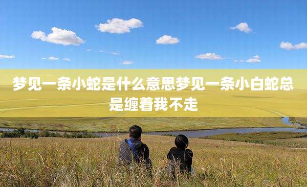 梦见一条小蛇是什么意思梦见一条小白蛇总是缠着我不走
