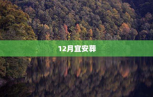12月宜安葬