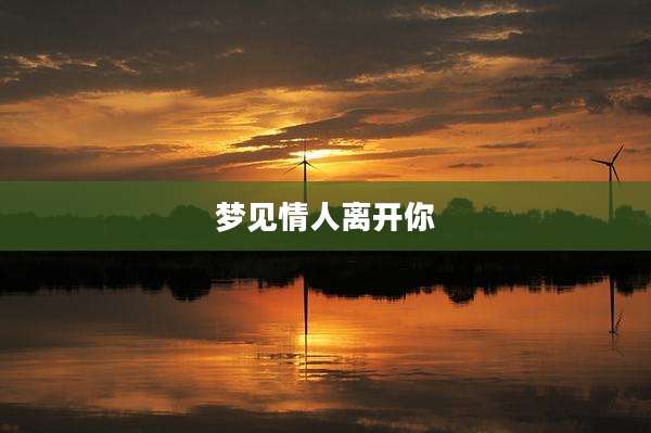 梦见情人离开你