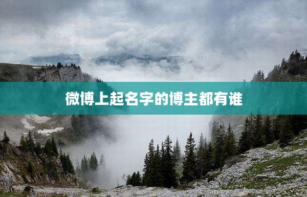 微博上起名字的博主都有谁