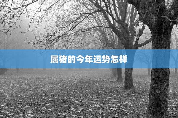 属猪的今年运势怎样