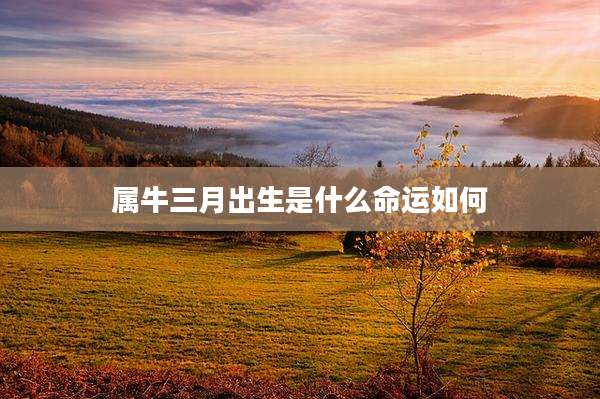 属牛三月出生是什么命运如何
