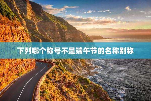 下列哪个称号不是端午节的名称别称