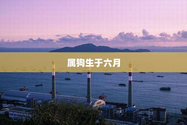 属狗生于六月