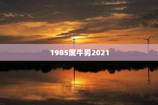 1985属牛男2021