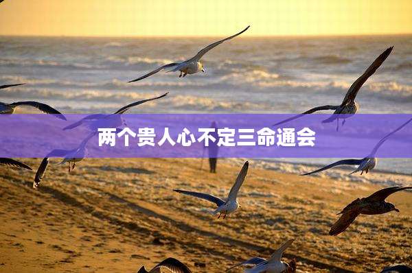 两个贵人心不定三命通会