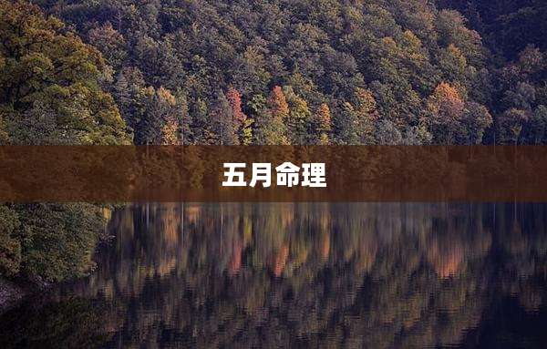 五月命理