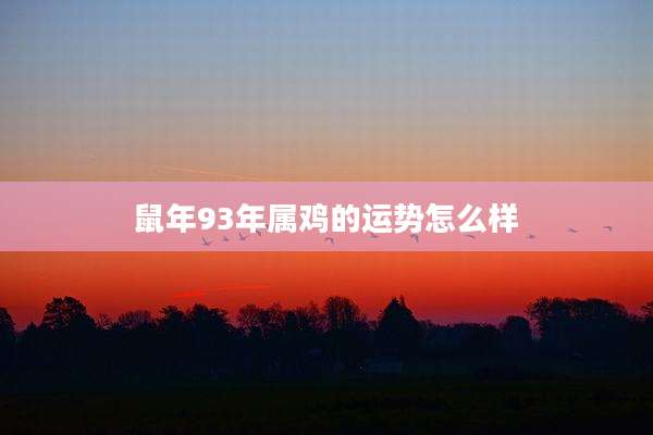 鼠年93年属鸡的运势怎么样