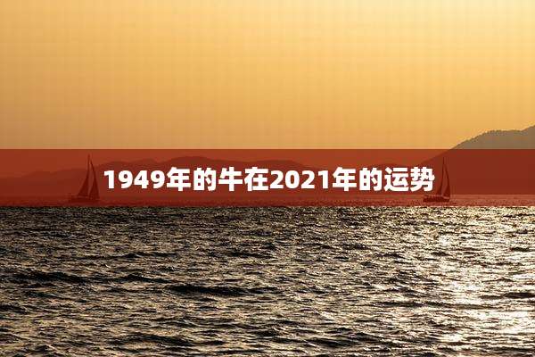 1949年的牛在2021年的运势